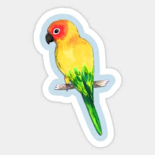 Sun conure Sticker